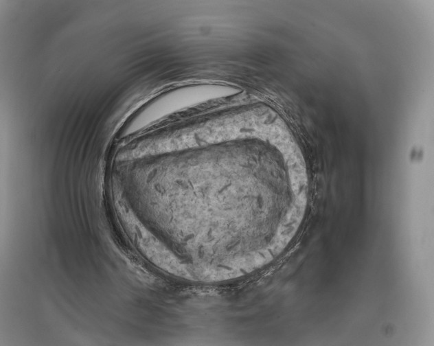 X0000096980194200802291154