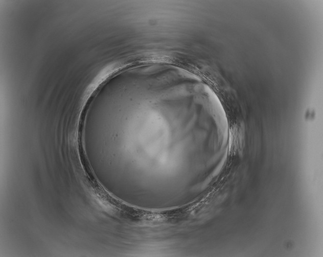 X0000096980195200802291154