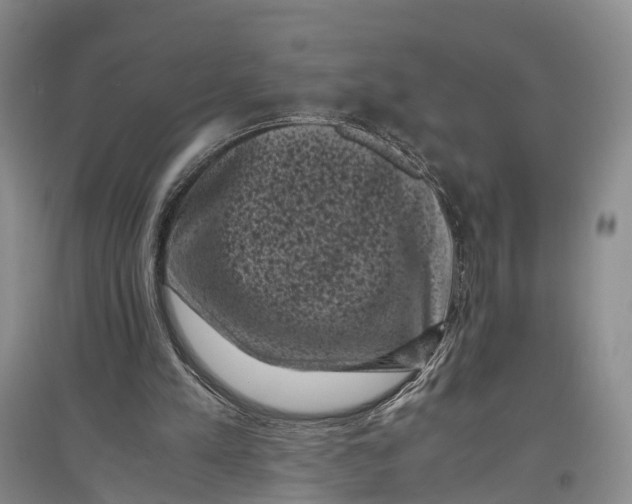 X0000096980197200802291154