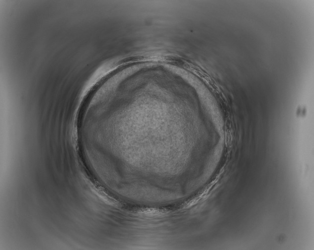 X0000096980198200802291154