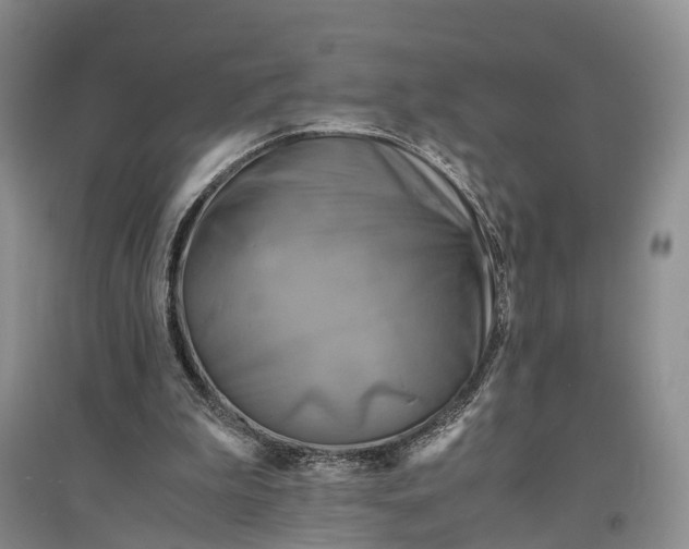 X0000096980199200802291154