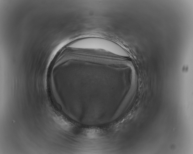 X0000096980200200802291154