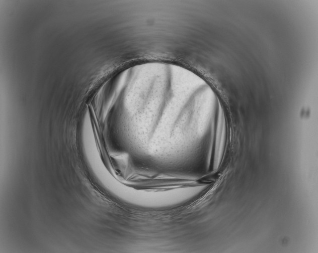 X0000096980201200802291154