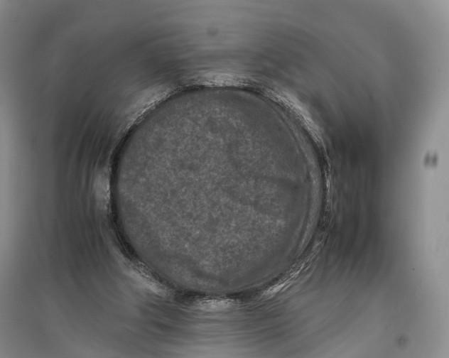 X0000096980202200802291153