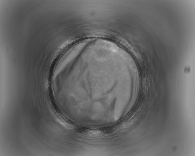 X0000096980203200802291153