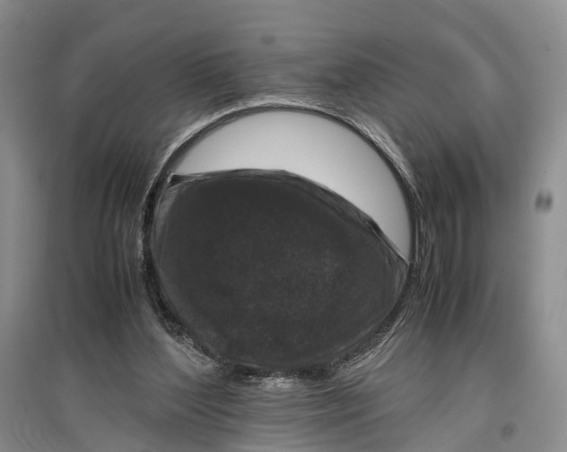 X0000096980204200802291153