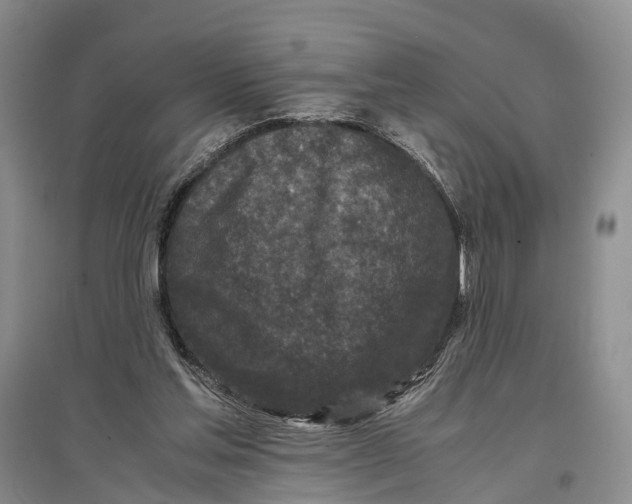 X0000096980205200802291153