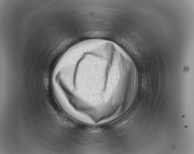 X0000096980206200802291153