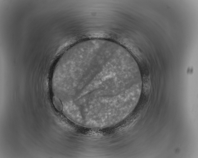 X0000096980207200802291153