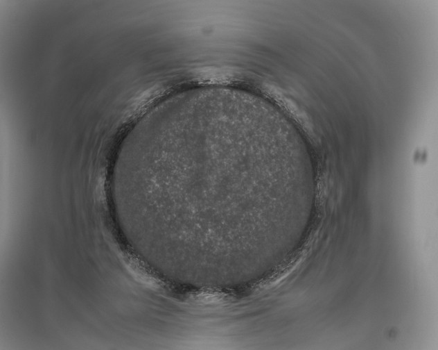 X0000096980209200802291153