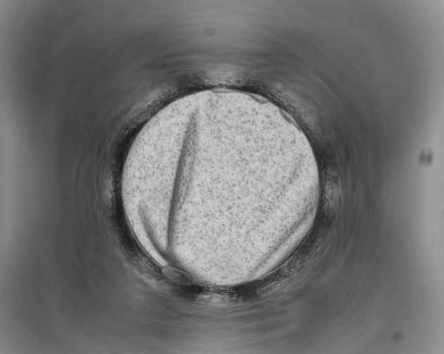 X0000096980211200802291153