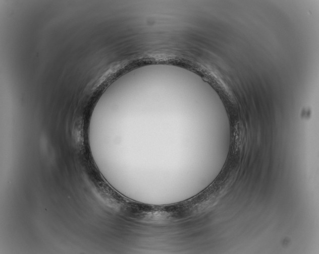 X0000096980212200802291153