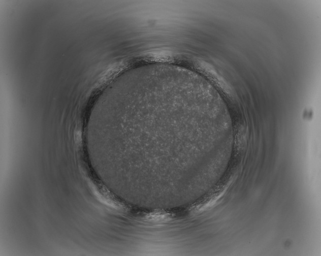 X0000096980213200802291153