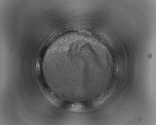 X0000096980214200802291153