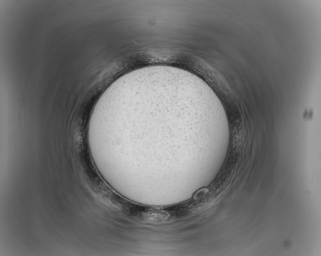 X0000096980215200802291153