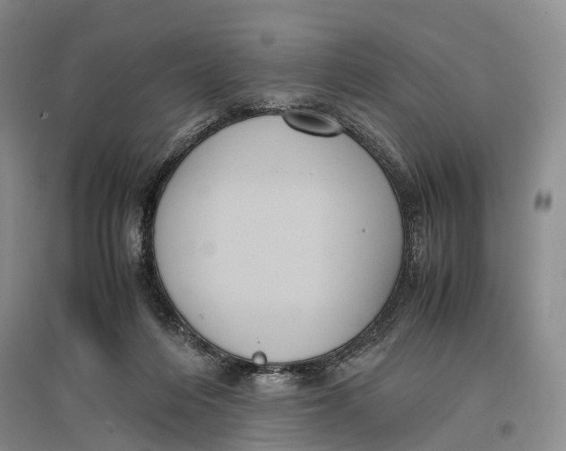 X0000096980216200802291153