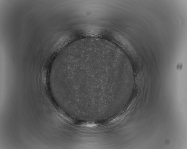 X0000096980217200802291153