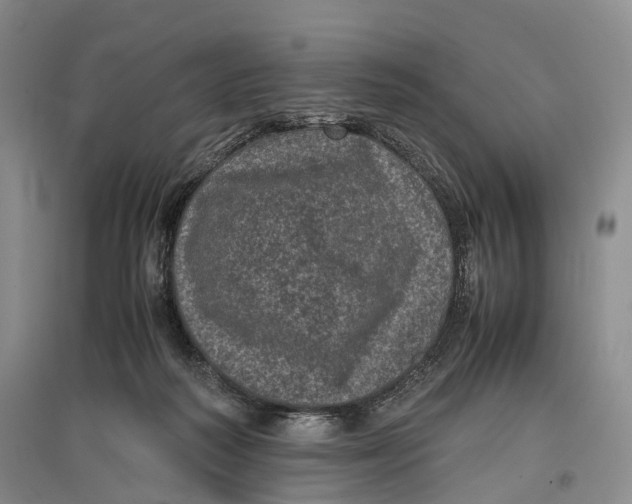 X0000096980218200802291153