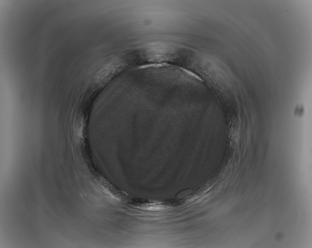 X0000096980219200802291153