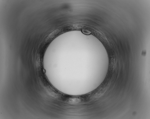 X0000096980220200802291153