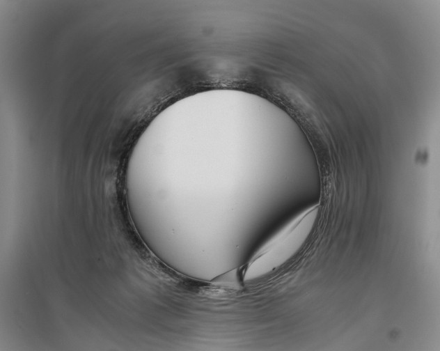 X0000096980221200802291153