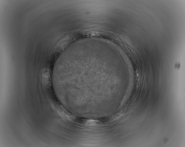 X0000096980222200802291153