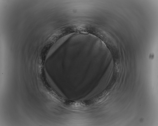 X0000096980223200802291153