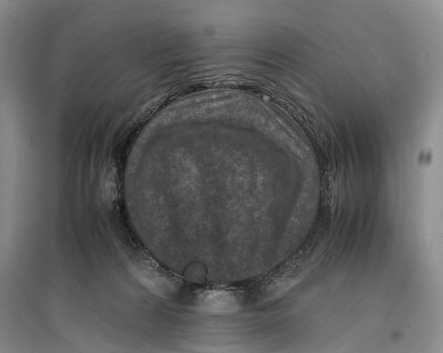 X0000096980224200802291153