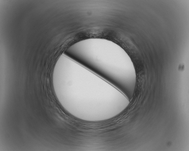 X0000096980225200802291153