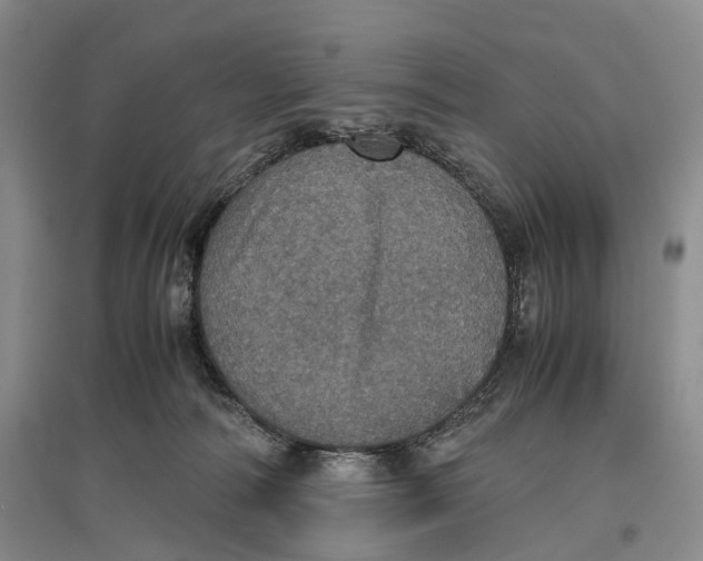 X0000096980226200802291153