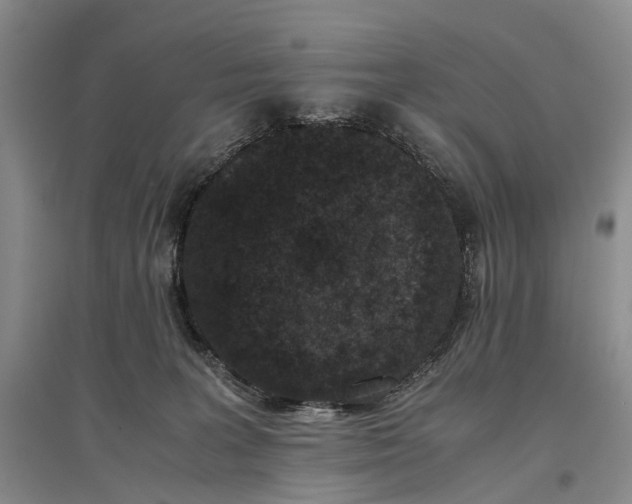 X0000096980227200802291153