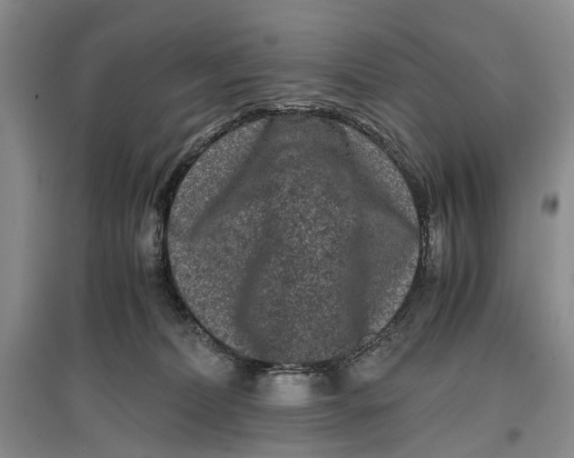 X0000096980228200802291153