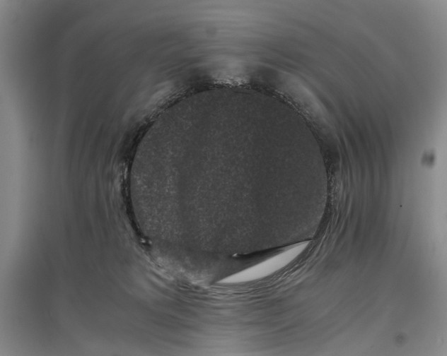 X0000096980229200802291153