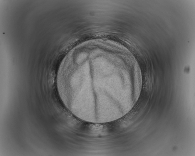 X0000096980230200802291153