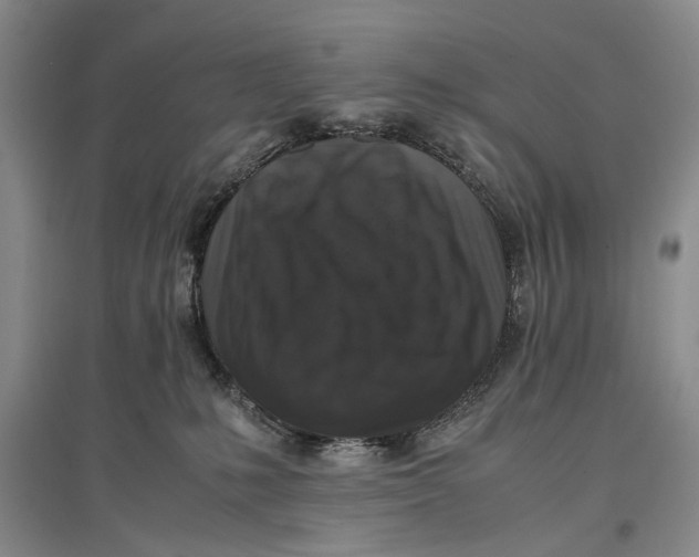 X0000096980231200802291153