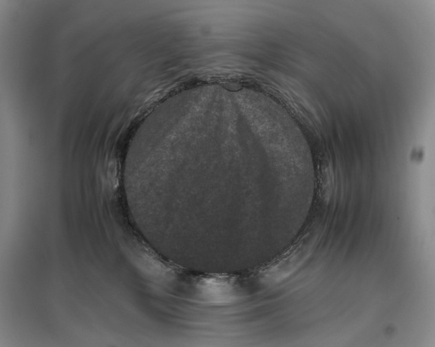 X0000096980232200802291153