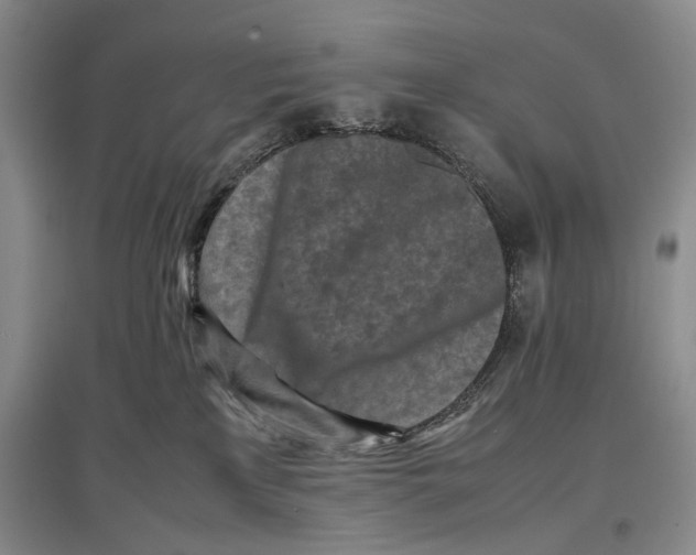 X0000096980233200802291153