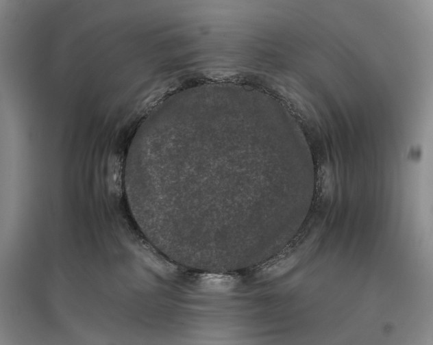 X0000096980234200802291153