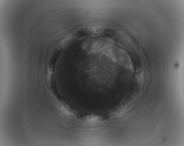 X0000096980235200802291153