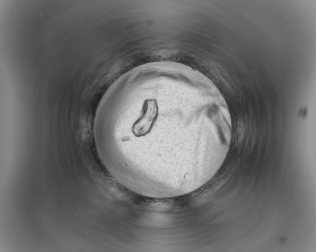 X0000096980236200802291153