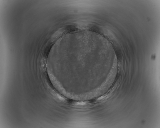 X0000096980237200802291153