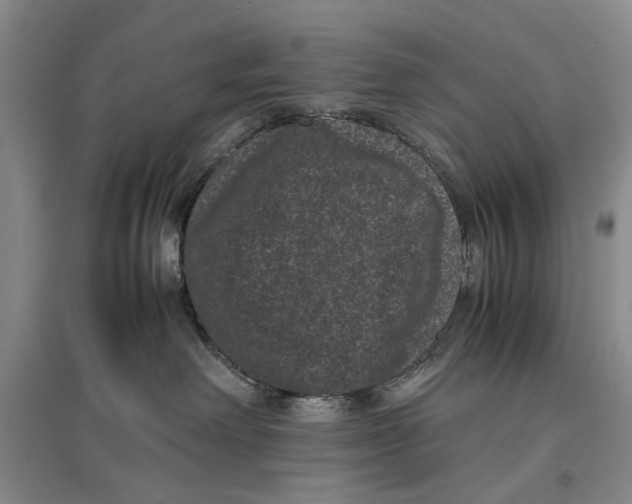 X0000096980238200802291153