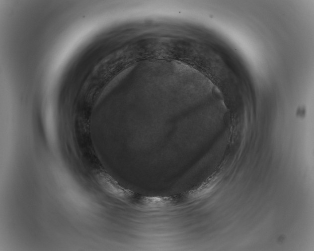 X0000096980239200802291153