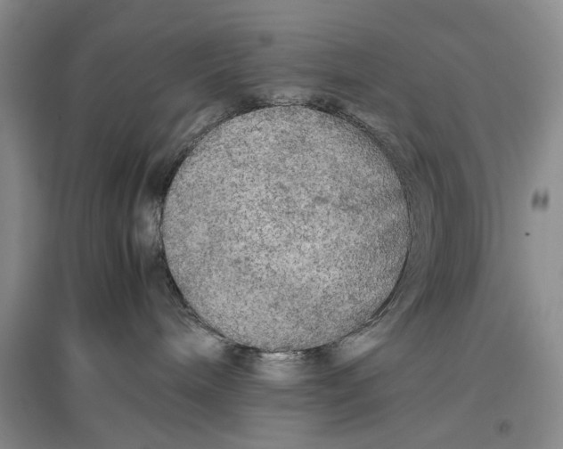 X0000096980240200802291153