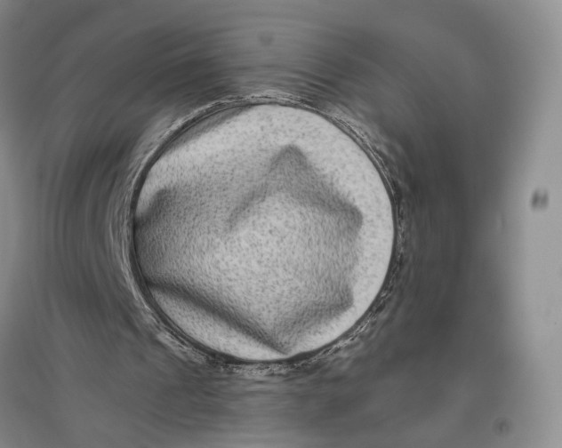 X0000096980241200802291152