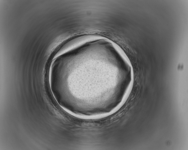 X0000096980242200802291152