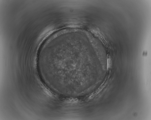 X0000096980243200802291152