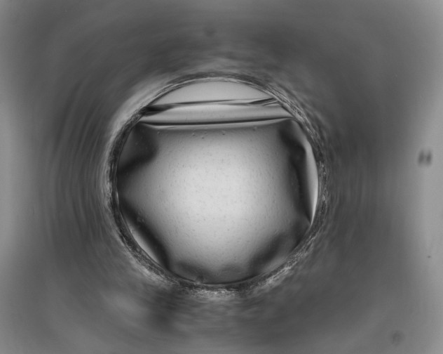 X0000096980245200802291152