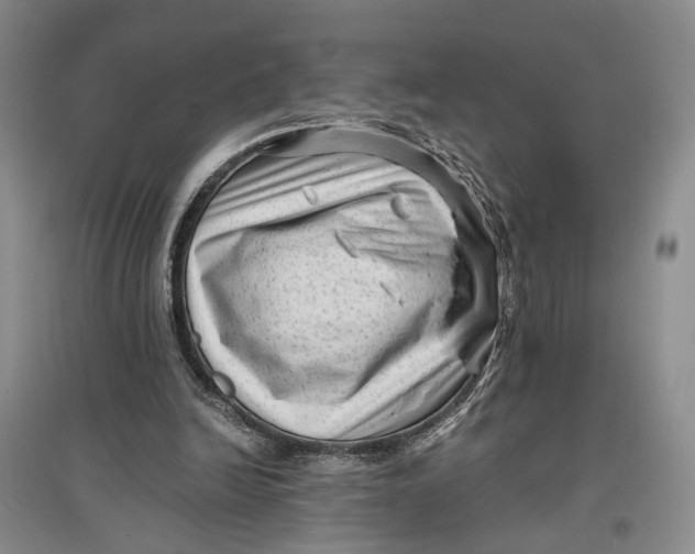 X0000096980246200802291152