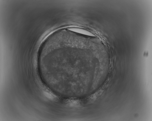 X0000096980247200802291152